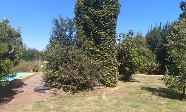 Casa y Parcela de Media Hectárea, ubicada en Villa Alegre