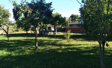 Casa en Parcela de Media Hectárea, sector Ballica Norte