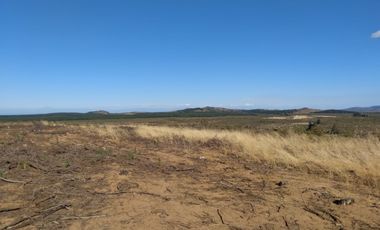 Parcela de 31 Hectàreas en Chimàvida, a 15 Kms de Cauquenes