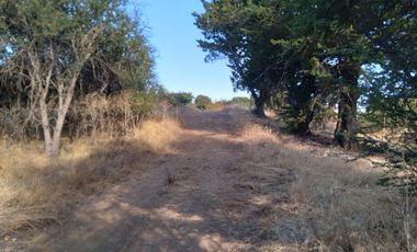Parcela de 31 Hectàreas en Chimàvida, a 15 Kms de Cauquenes