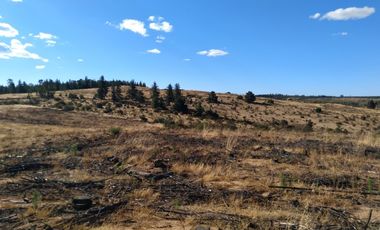 Parcela de 31 Hectàreas en Chimàvida, a 15 Kms de Cauquenes