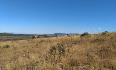 Parcela de 31 Hectàreas en Chimàvida, a 15 Kms de Cauquenes