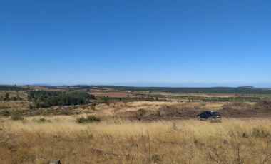 Parcela de 31 Hectàreas en Chimàvida, a 15 Kms de Cauquenes