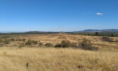 Parcela de 31 Hectàreas en Chimàvida, a 15 Kms de Cauquenes