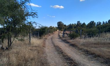 Parcela de 31 Hectàreas en Chimàvida, a 15 Kms de Cauquenes