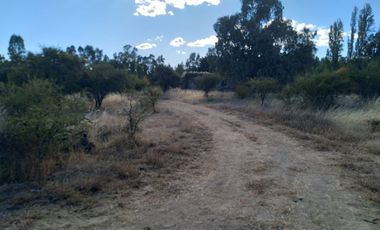 Parcela de 31 Hectàreas en Chimàvida, a 15 Kms de Cauquenes