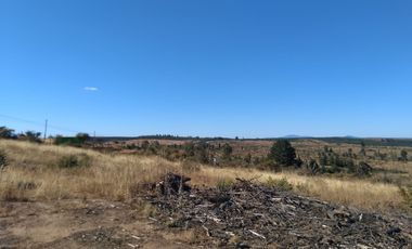 Parcela de 31 Hectàreas en Chimàvida, a 15 Kms de Cauquenes