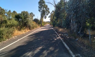 Parcela de 31 Hectàreas en Chimàvida, a 15 Kms de Cauquenes