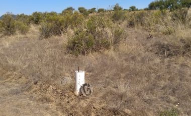 Se Venden Parcelas, en  Lomas de Polcura   Longavi
