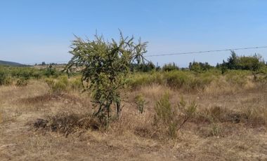 Se Venden Parcelas, en  Lomas de Polcura   Longavi