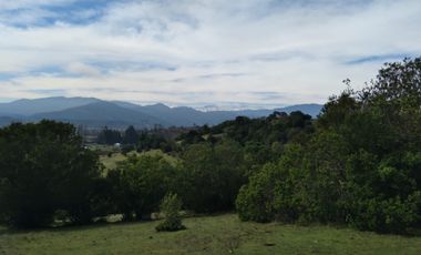 Parcela de Siete Hectáreas, Sector El Tránsito Los Copihues