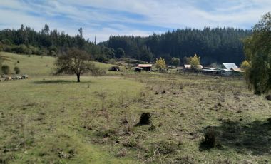 Parcela de Siete Hectáreas, Sector El Tránsito Los Copihues