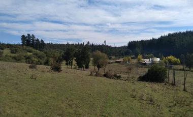 Parcela de Siete Hectáreas, Sector El Tránsito Los Copihues