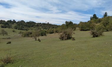 Parcela de Siete Hectáreas, Sector El Tránsito Los Copihues