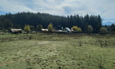 Parcela de Siete Hectáreas, Sector El Tránsito Los Copihues