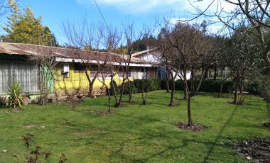 Parcela de Siete Hectáreas, Sector El Tránsito Los Copihues