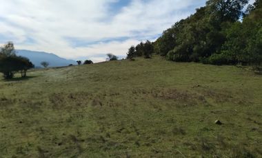 Parcela de Siete Hectáreas, Sector El Tránsito Los Copihues