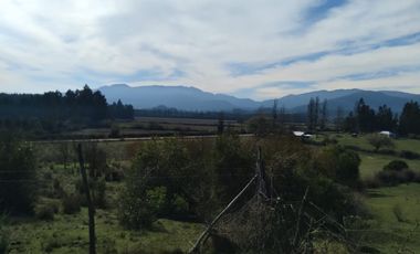 Parcela de Siete Hectáreas, Sector El Tránsito Los Copihues