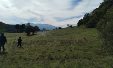 Parcela de Siete Hectáreas, Sector El Tránsito Los Copihues
