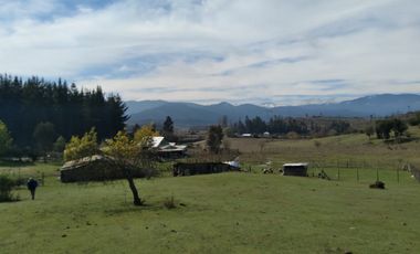 Parcela de Siete Hectáreas, Sector El Tránsito Los Copihues