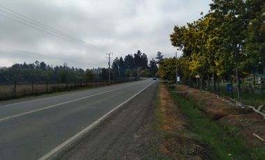 Parcela de Media Hectárea, en camino a San Juan