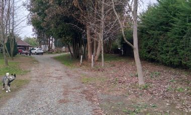 Linda Casa en Parcela de Media Hectàrea