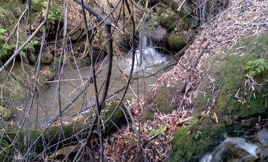 Parcela de Media Hectàrea, camino a Embalse Ancoa