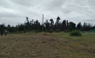 Parcela de 1,1 Hectáreas con Cabaña, en Comuna Colbùn