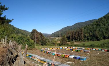 Fundo de 508 Hectàreas app, en Alto Pejerrey