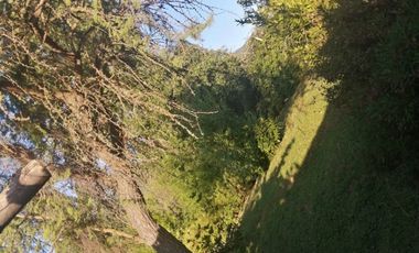 Casa en Parcela de 5.000.- Mts2 en Sector Rabones