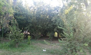 Casa en Parcela de 5.000.- Mts2 en Sector Rabones