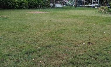 Linda Casa, en Parcela de 5.000.- Mts a sòlo 5KM de Linares