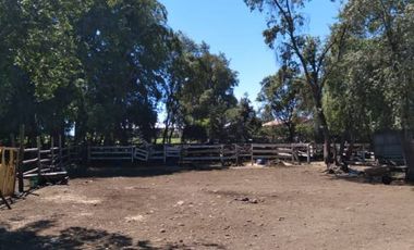 Parcela de 36 Hect, con casa de 200 Mts2 app,Esperanza Plana