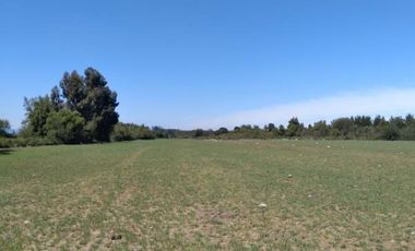 Parcela de 36 Hect, con casa de 200 Mts2 app,Esperanza Plana