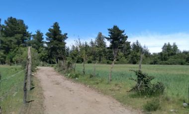 Parcela de 36 Hect, con casa de 200 Mts2 app,Esperanza Plana