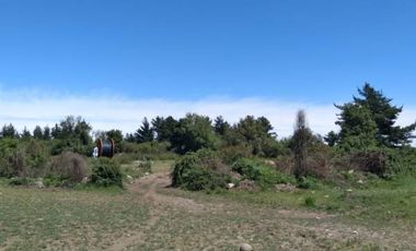 Parcela de 36 Hect, con casa de 200 Mts2 app,Esperanza Plana