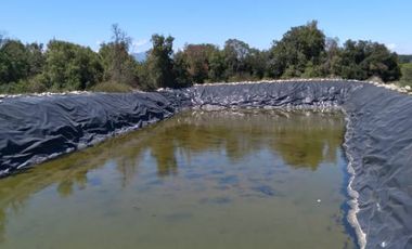 Parcela de 36 Hect, con casa de 200 Mts2 app,Esperanza Plana