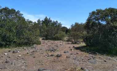 Parcela de 36 Hect, con casa de 200 Mts2 app,Esperanza Plana