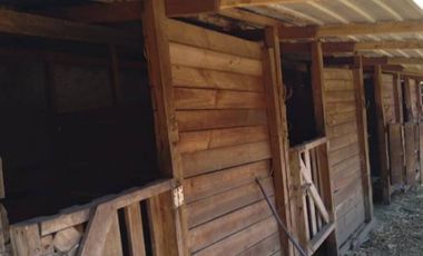 Parcela de 36 Hect, con casa de 200 Mts2 app,Esperanza Plana
