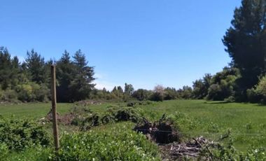 Parcela de 36 Hect, con casa de 200 Mts2 app,Esperanza Plana