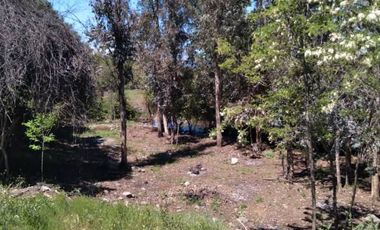 Parcela de 36 Hect, con casa de 200 Mts2 app,Esperanza Plana