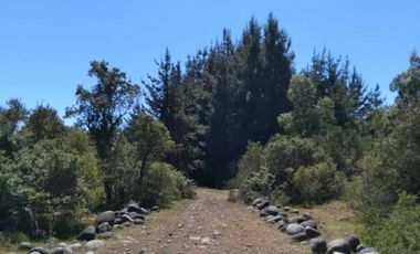 Parcela de 36 Hect, con casa de 200 Mts2 app,Esperanza Plana