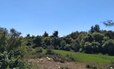 Parcela de 36 Hect, con casa de 200 Mts2 app,Esperanza Plana