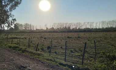 Lindas Parcelas , ubicadas entre Panimàvida y Colbùn