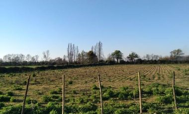 Lindas Parcelas , ubicadas entre Panimàvida y Colbùn