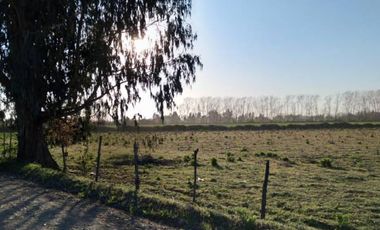 Lindas Parcelas , ubicadas entre Panimàvida y Colbùn