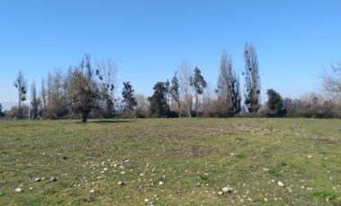 Se venden Parcelas, en camino a Yerbas Buenas a sòlo 4,9 Kms