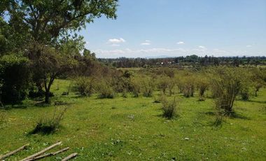Parcela de 63 Hectàr, sector Bazaes a orilla carretera L-11