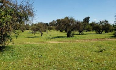 Parcela de 63 Hectàr, sector Bazaes a orilla carretera L-11
