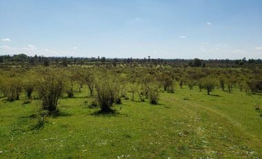 Parcela de 63 Hectàr, sector Bazaes a orilla carretera L-11
